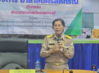 โครงการอาสาสมัครสหกรณ์ กิจกรรมพัฒนาอาสาสมัครสหกรณ์ ณ ... พารามิเตอร์รูปภาพ 52